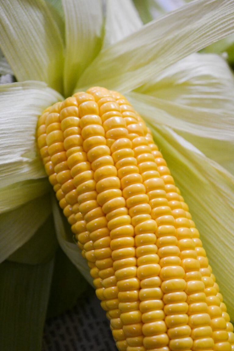 a close up of a corn on the cob